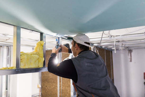 Best Commercial Insulation in Ocean Ridge, FL